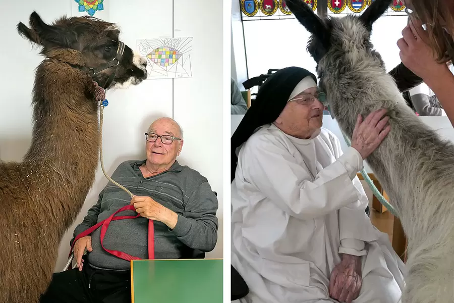 Herr Stüssi (l.) hält Sirius an der kurzen Leine. Was flüstert Sr. Petra (r.) Chino wohl ins grosse Ohr? Zwei Charakterköpfe, die sich ohne grosse Worte verstehen. 