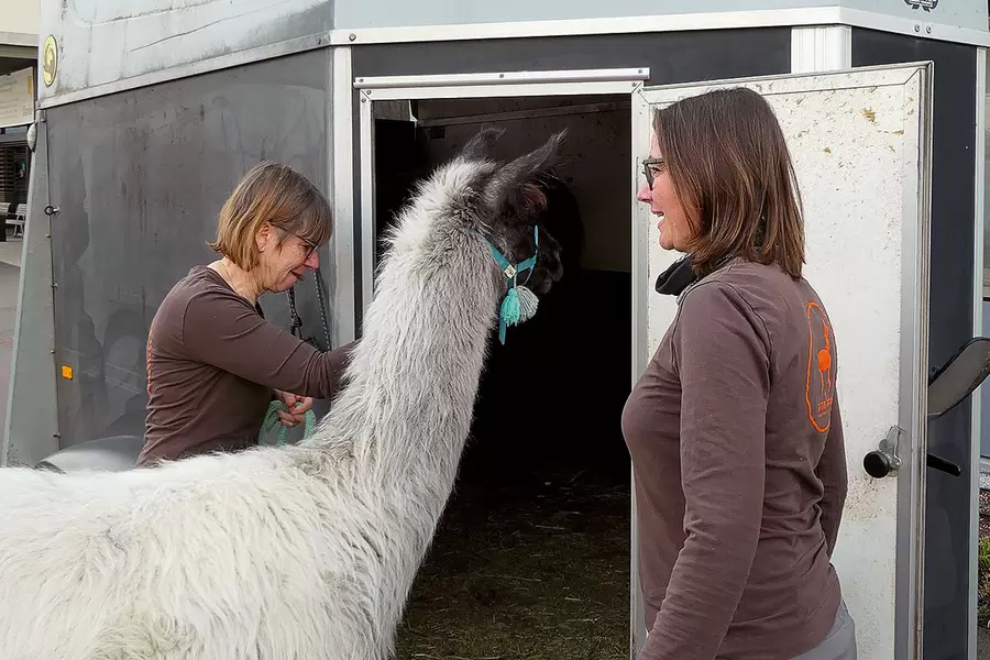 ... bevor es mit dem Transporter heim nach Flüeli-Ranft geht.