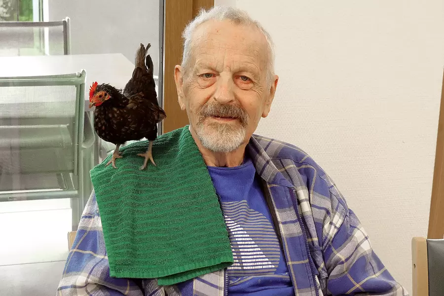 Leo Strüby nimmt ein schwarzes Hühnchen auf die leichte Schulter.