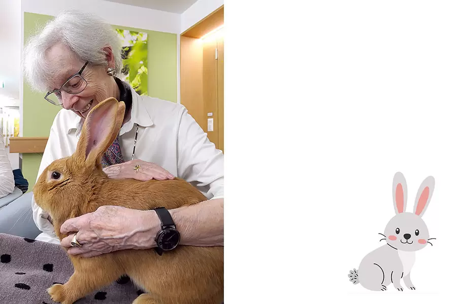 Agnes Eichhorn freundet sich mit dem roten Burgunderhasen an, der ganz andächtig still sitzt.