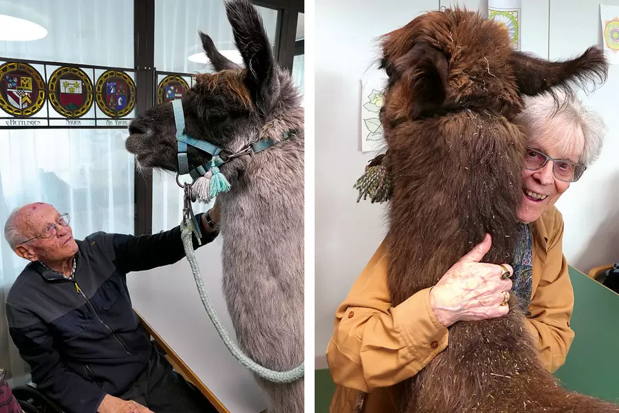 Noch ein letztes Mal streicheln und innig umarmen ...