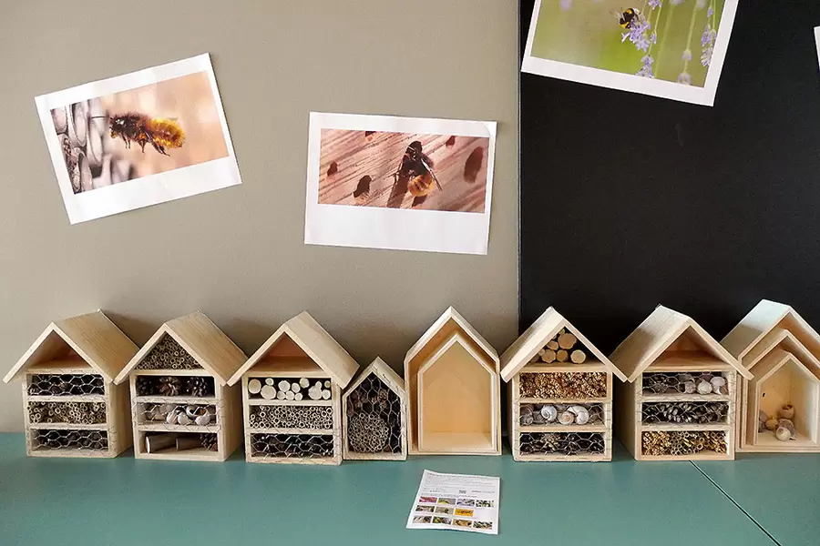 Die anlässlich des Frühlingserwachens gemeinsam gebauten Bienenhotels stehen in Reihe und Glied zum Bezug bereit.