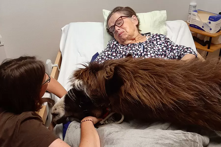 Sirius besucht Edith Nussbaumer in ihrem Zimmer.